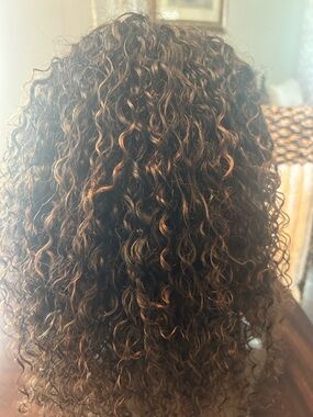 Human Hair Wig - Chestnut Brown with Caramel Highlights 16”